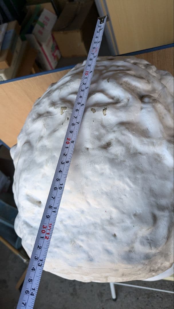 古典的プラスター彫刻の頭像　パルテノン首像　中古品