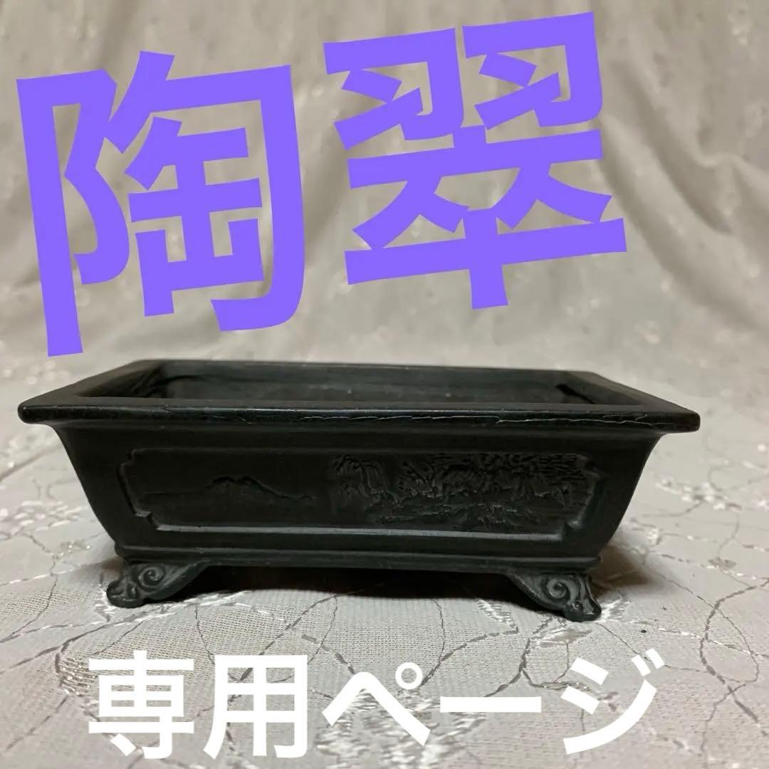陶翠　90 盆栽鉢　長方