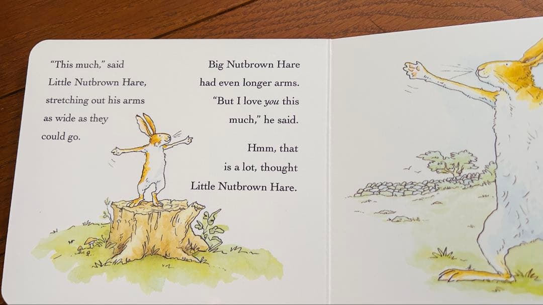 TM Eric carle/brown bear絵本セット10冊