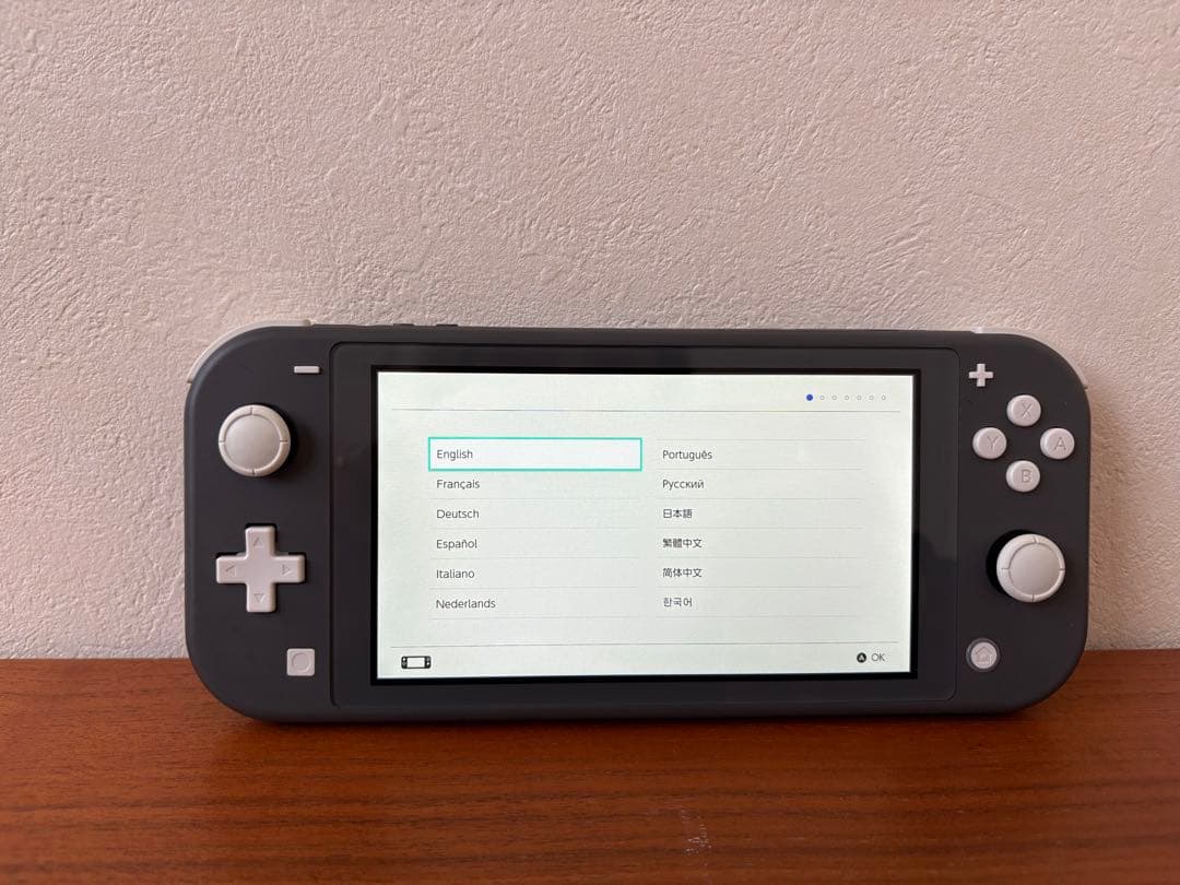 Nintendo Switch Lite グレー 本体のみ 美品 作動確認済み