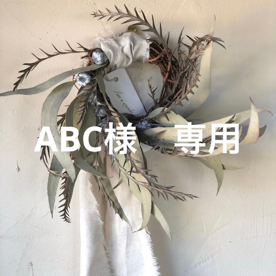 ABC　ブルー　24