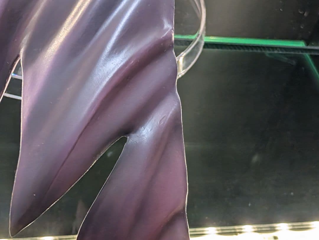 ブルーアーカイブ「空崎ヒナ」 1/7 完成品フィギュア[B´full]