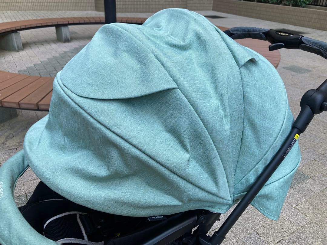 送料込み ✴︎ ピジョン ランフィリノン RA8L グリーン