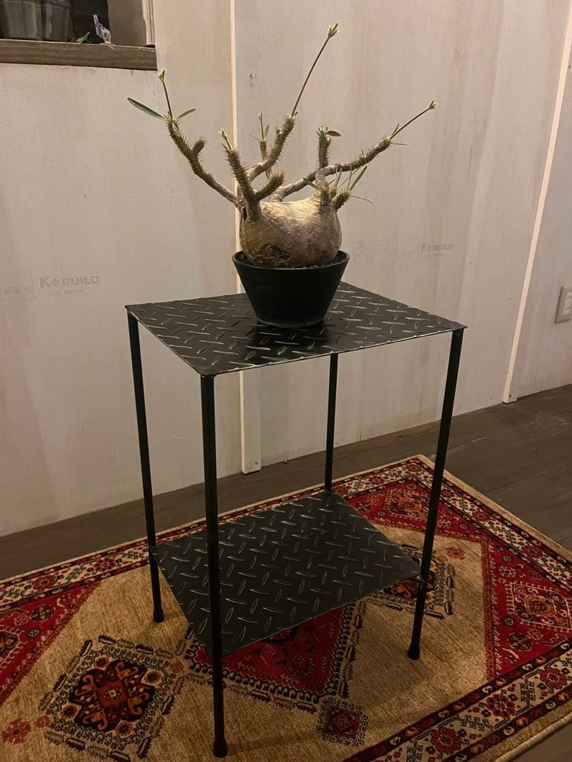 アイアンラック　シューズラック　植物棚　インダストリアル