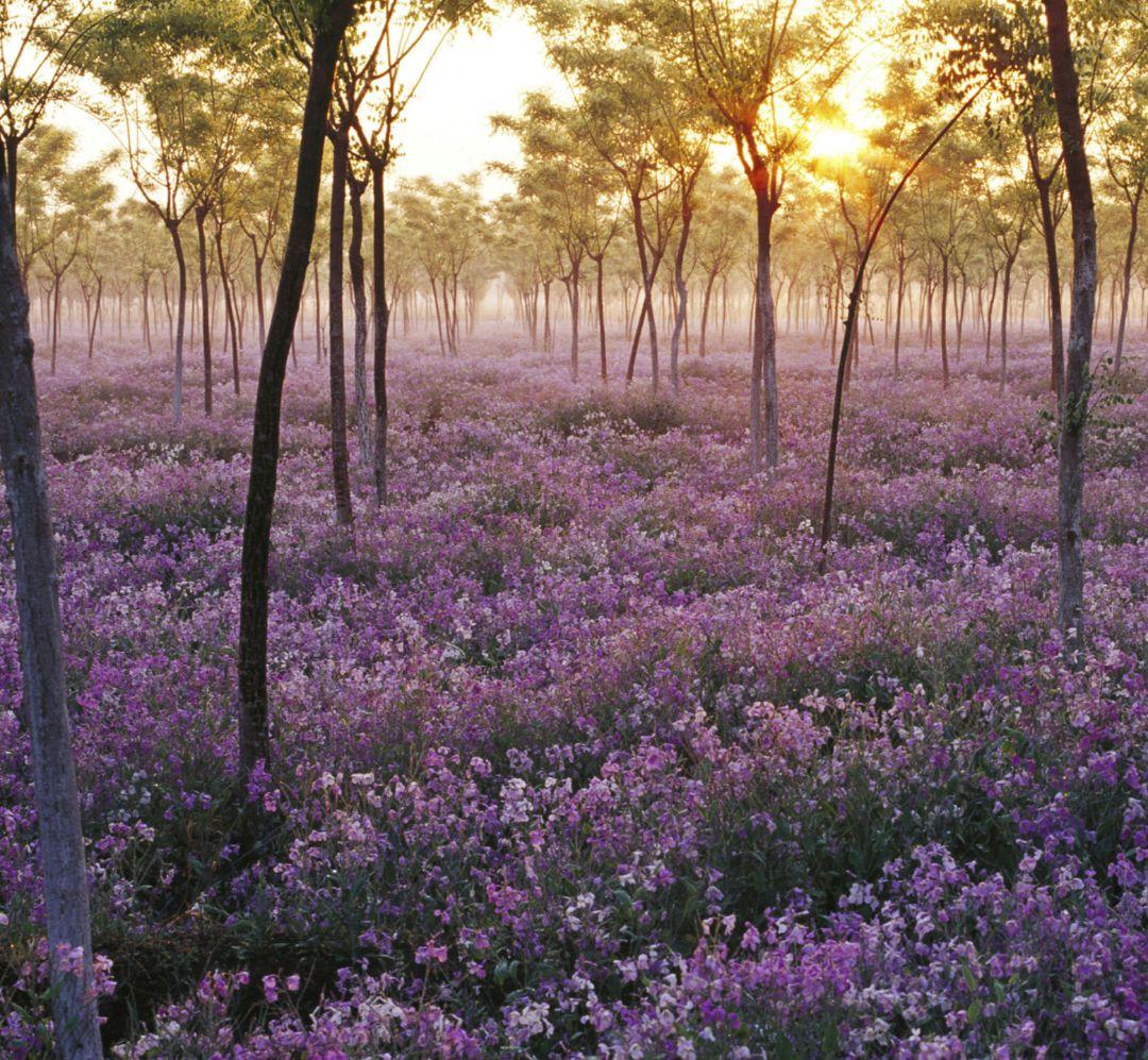 ☆連絡、確認用