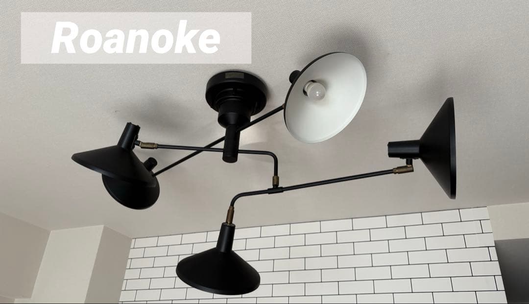 roanokeロアノーク　5灯ブラックシーリングライト　スポットライト