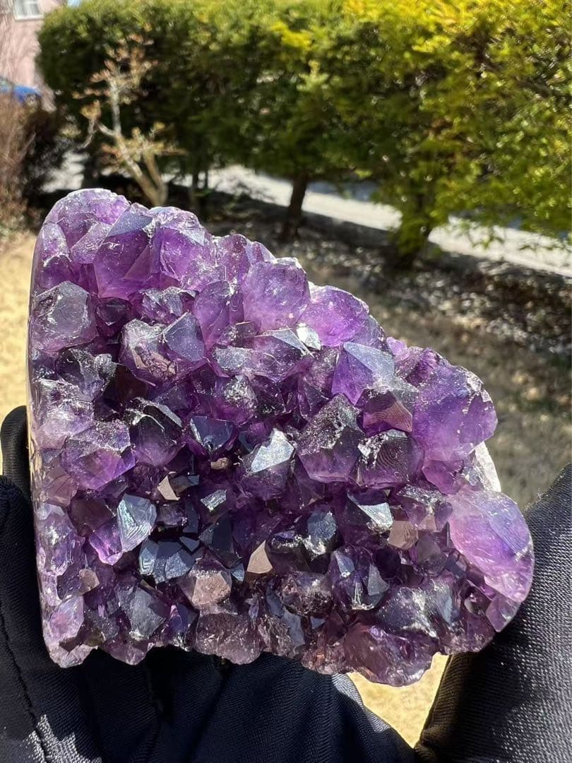 A771 アメジストドーム クラスター ウルグアイ産 と水晶クラスター