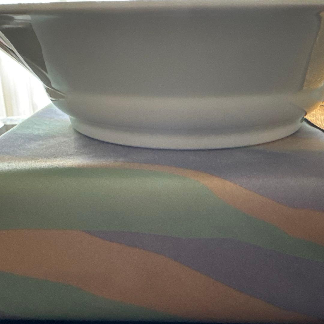 プレゼントに最適！深川製磁　大鉢 アントレ　百代草