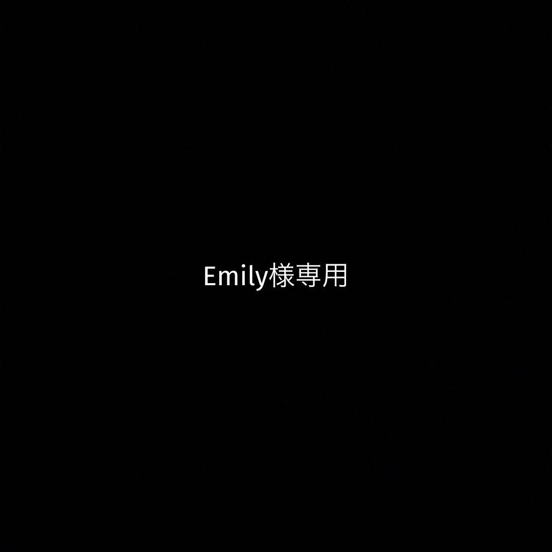 語学・辞書・学習参考書 Emily