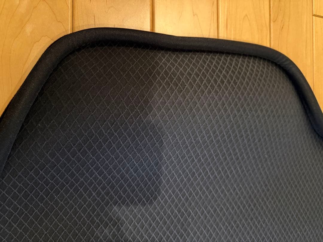 レクサスRX純正品2点 バックドアオープニングガード•ラゲージソフトトレイ撥水製
