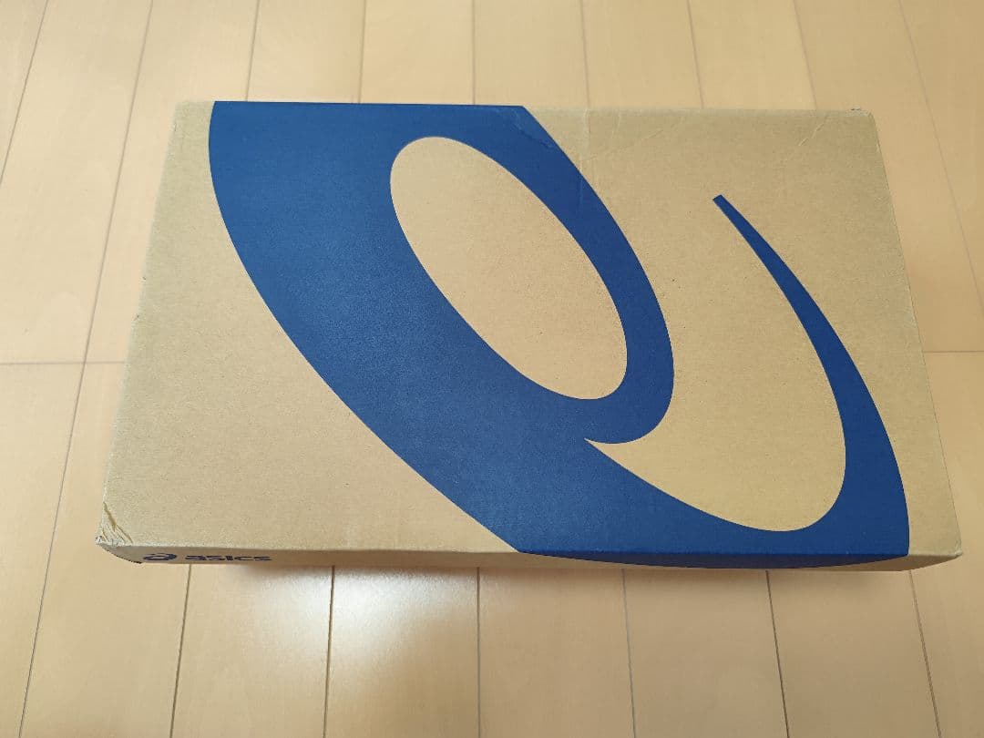 ASICS GEL-RESOLUTION 9 1041A330【25.5cm】