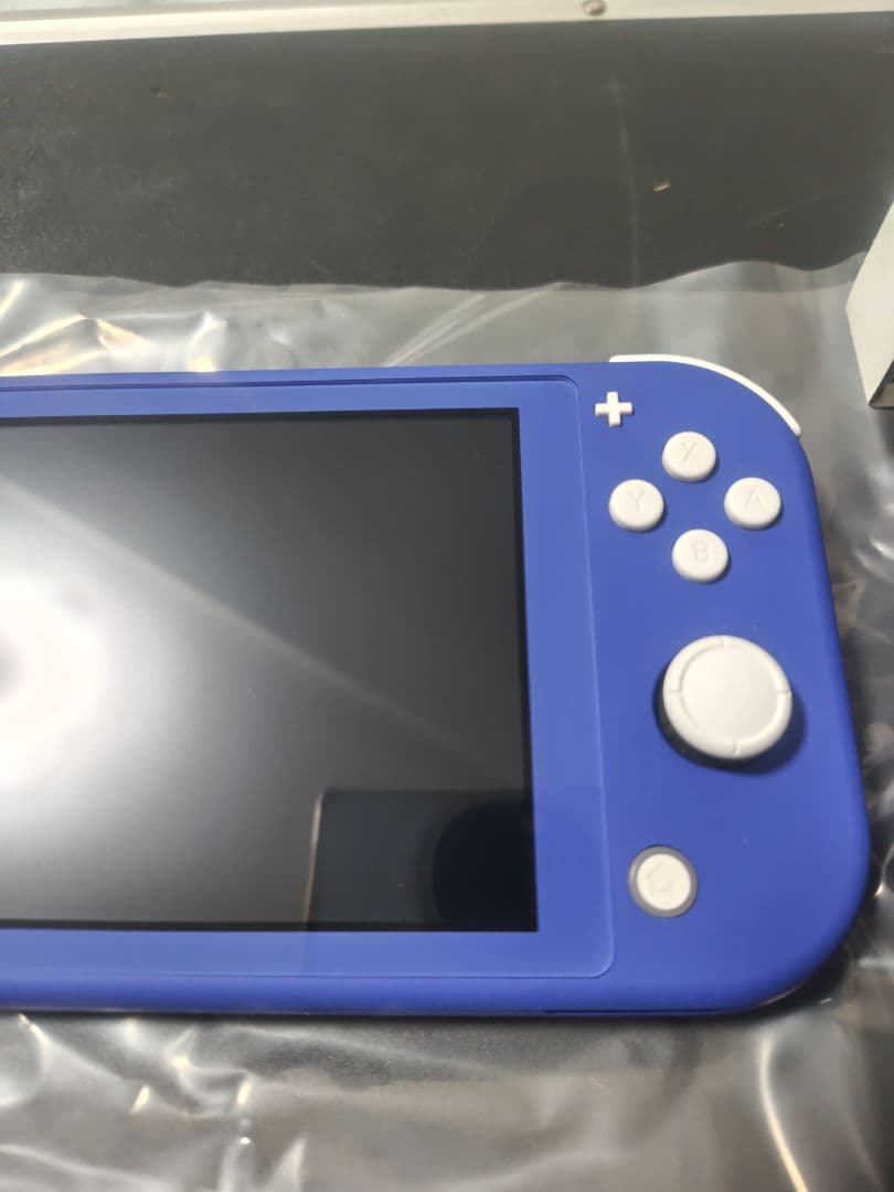 Nintendo Switch Lite オンライン30日間&充電器未使用
