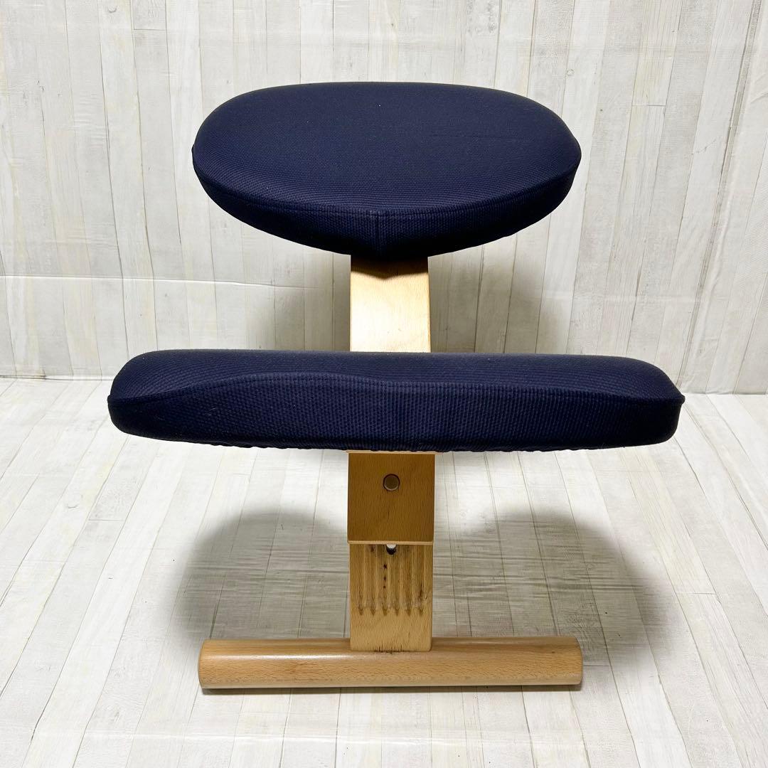 バランスイージー：ブラウン（カバー付き、ネイビー）