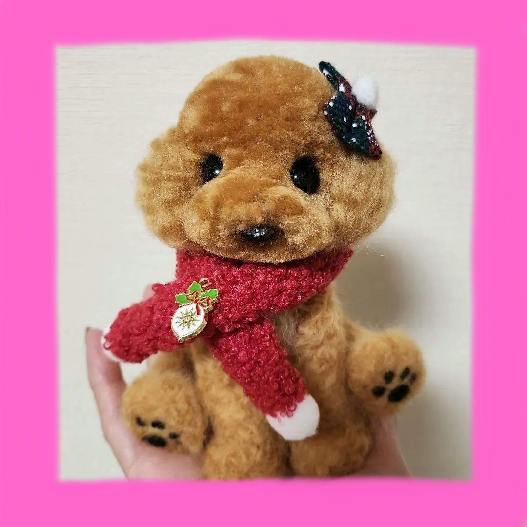 トイプードル❤️クリスマス特別価格❤️　　　　　　　　　　　　お迎え決まりました