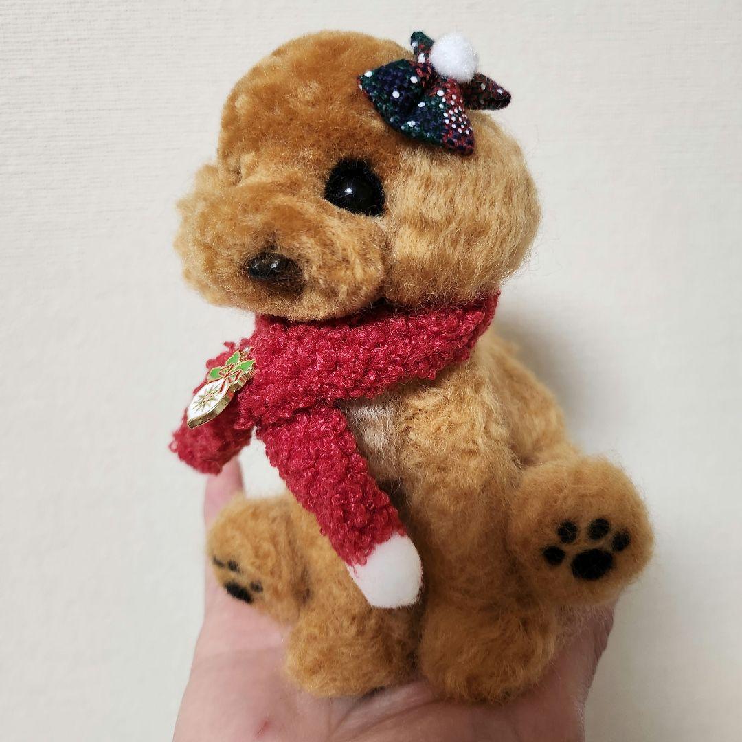 トイプードル❤️クリスマス特別価格❤️　　　　　　　　　　　　お迎え決まりました