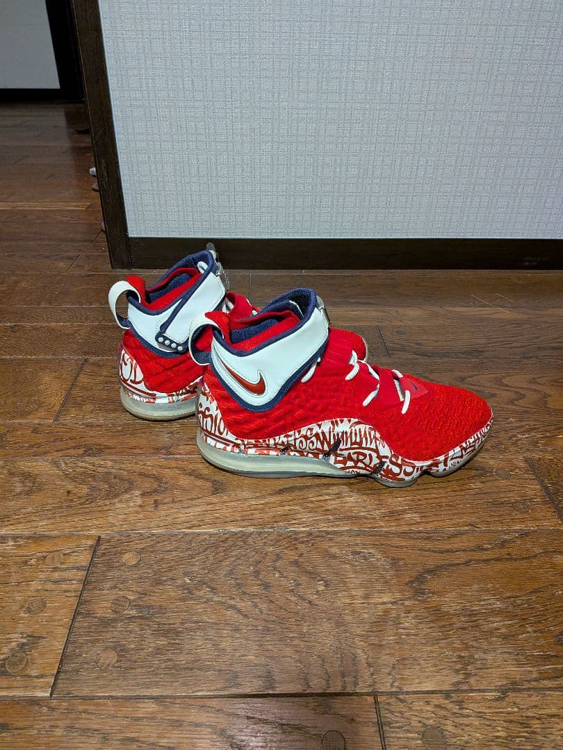 ナイキ バスケットボール レブロン 17 FP \"グラフィティーリミックス