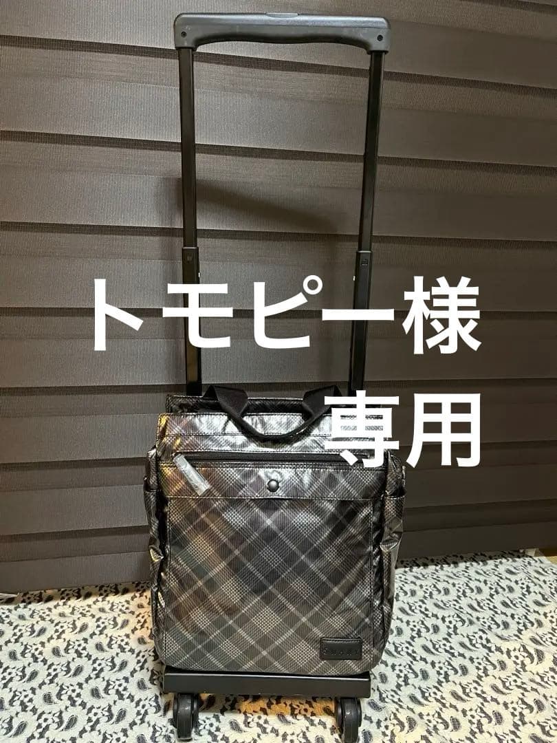 SWANY キャリーバッグ★支えるバッグ