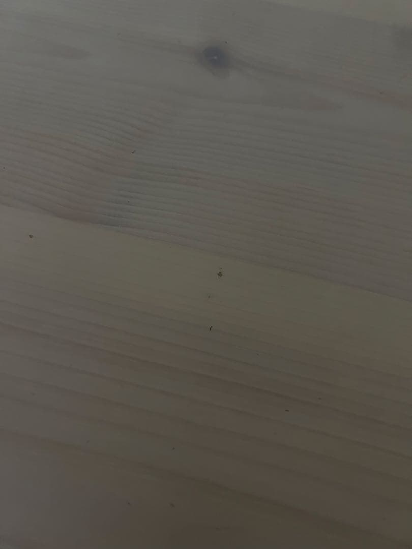 こたつ布団付き こたつ　 テーブル　正方形　80×80 廃盤