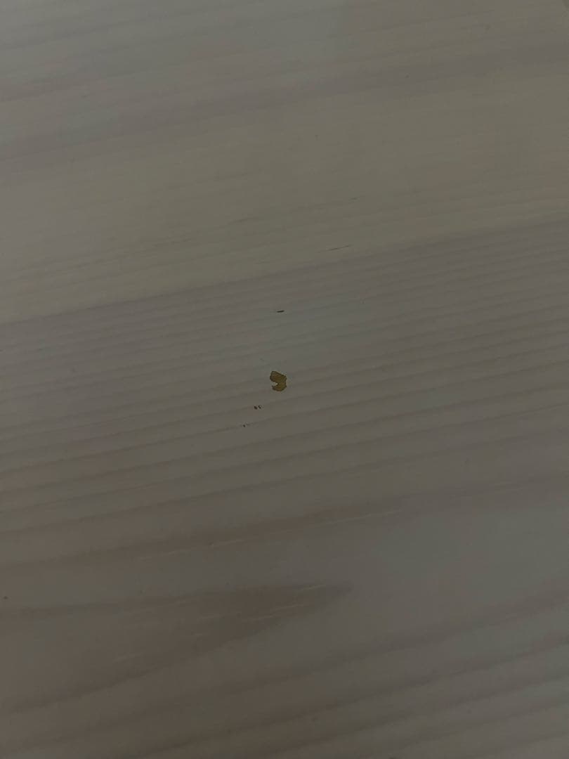 こたつ布団付き こたつ　 テーブル　正方形　80×80 廃盤