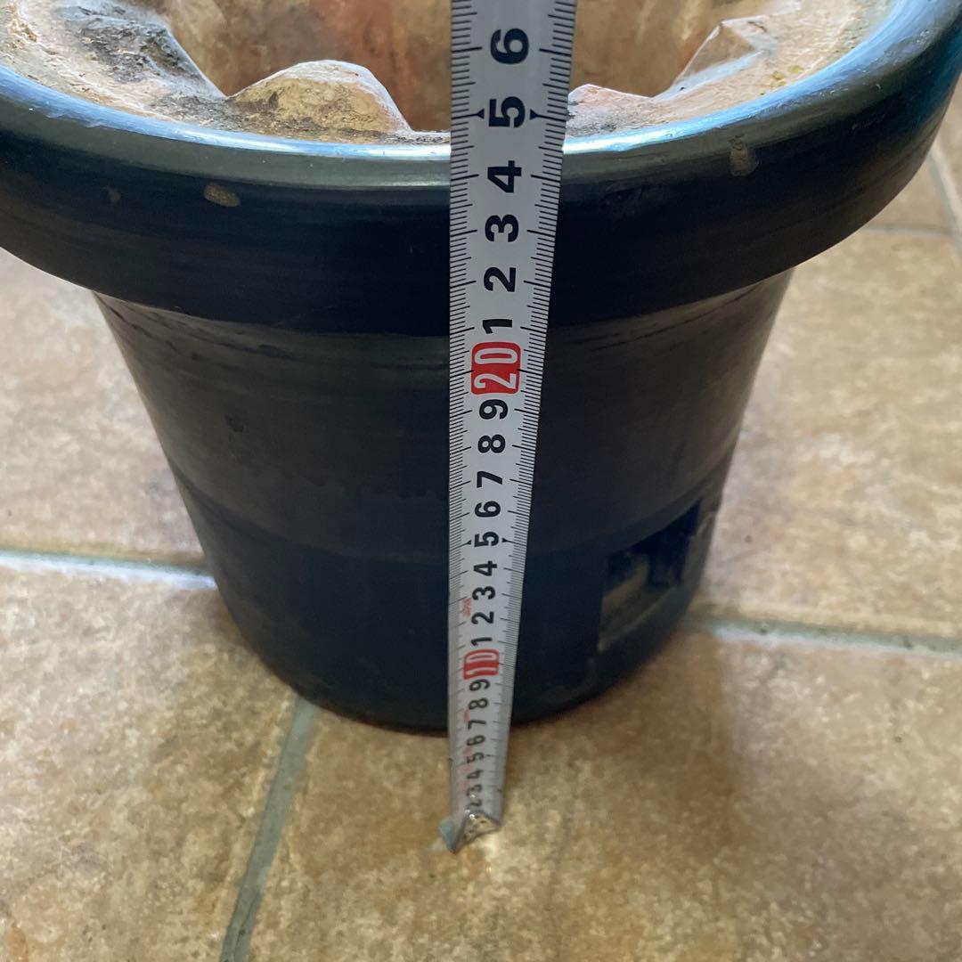 三河産　黒七輪