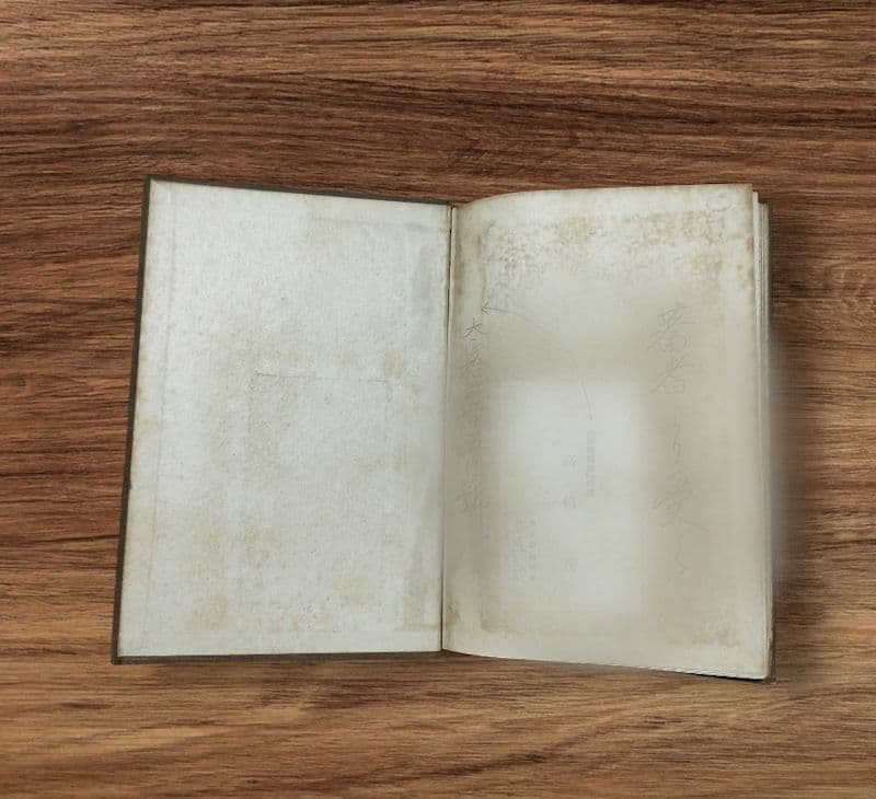 超稀本「脊髄反射的療法」「近世看護学」兒玉林平　野口整体　均整法　野口晴哉