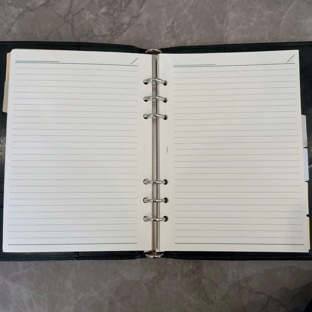 レイメイ藤井 ダヴィンチ グランデ A5 システム手帳