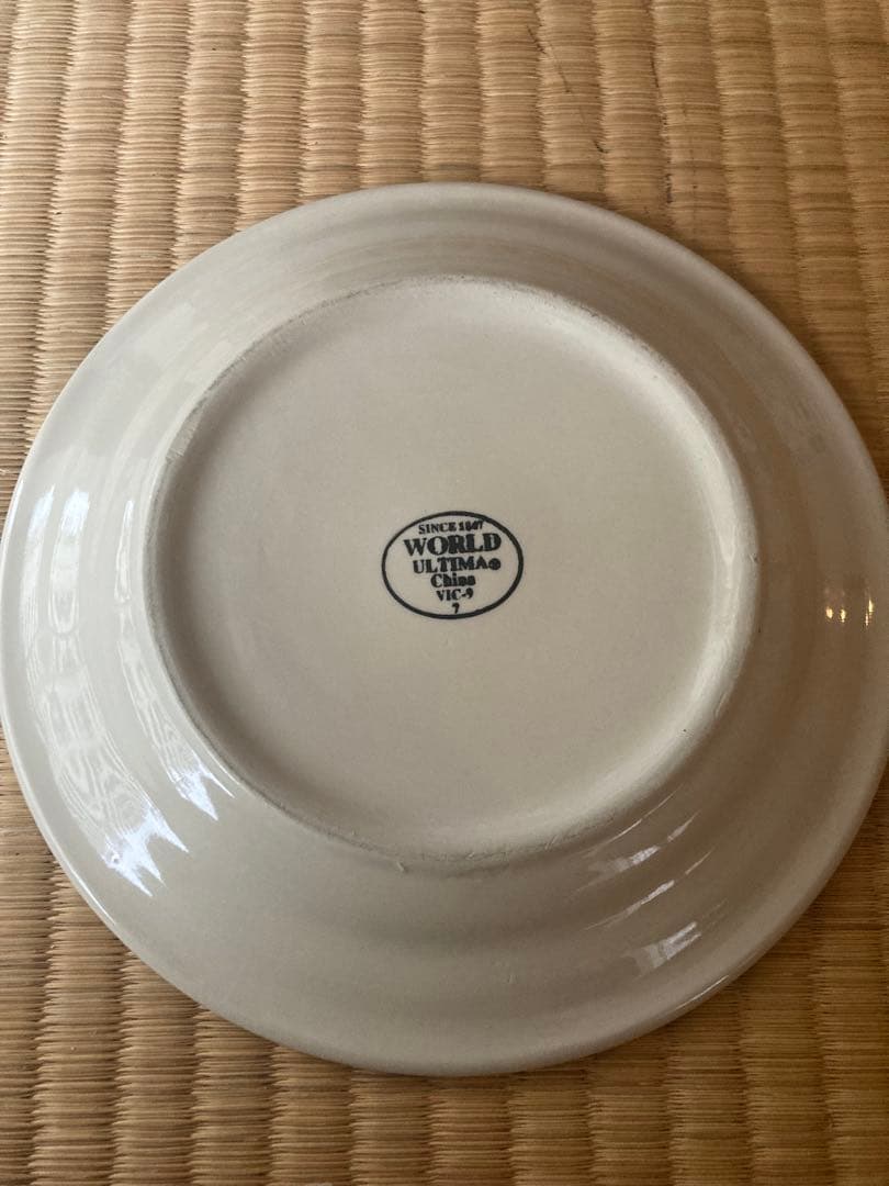 WORLD アメリカ製 グリーンラインホワイトプレート10枚