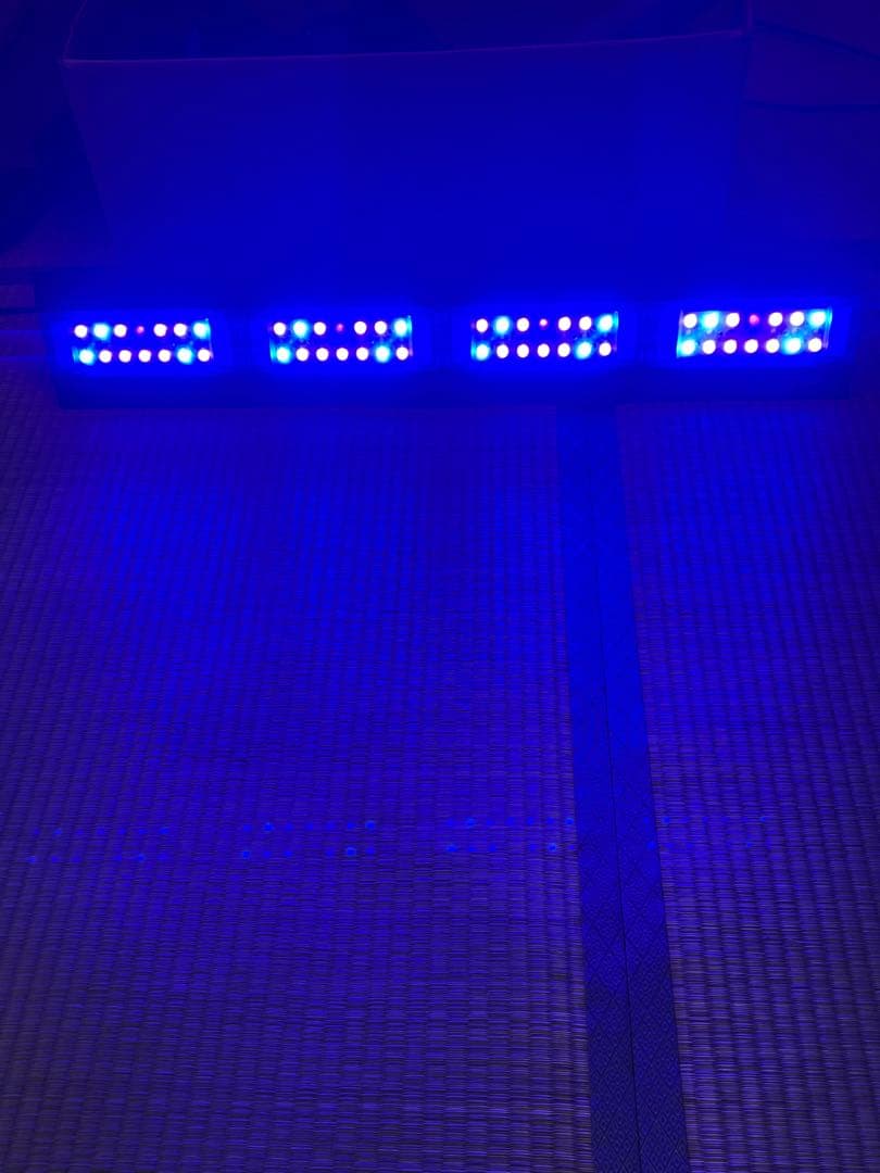 NEMO LIGHT 2 LEDライト