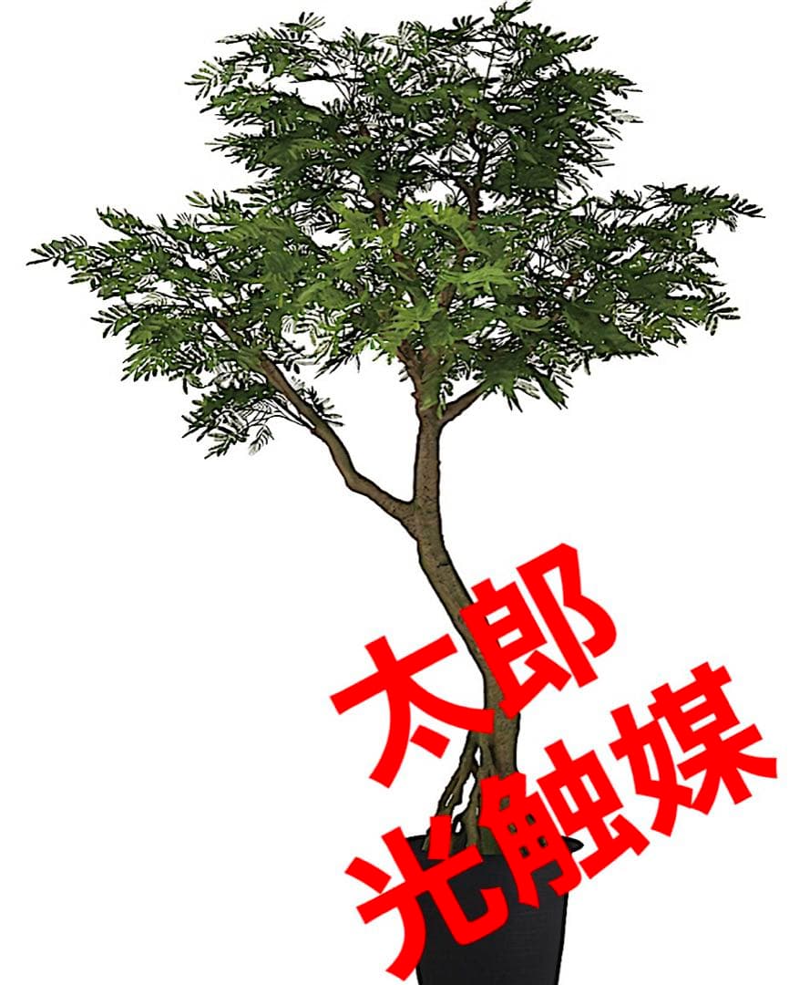 光触媒　人工観葉植物　ウォールグリーン　フェイクグリーン　エバーフレッシュ鉢