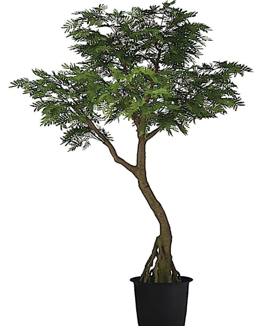 光触媒　人工観葉植物　ウォールグリーン　フェイクグリーン　エバーフレッシュ鉢