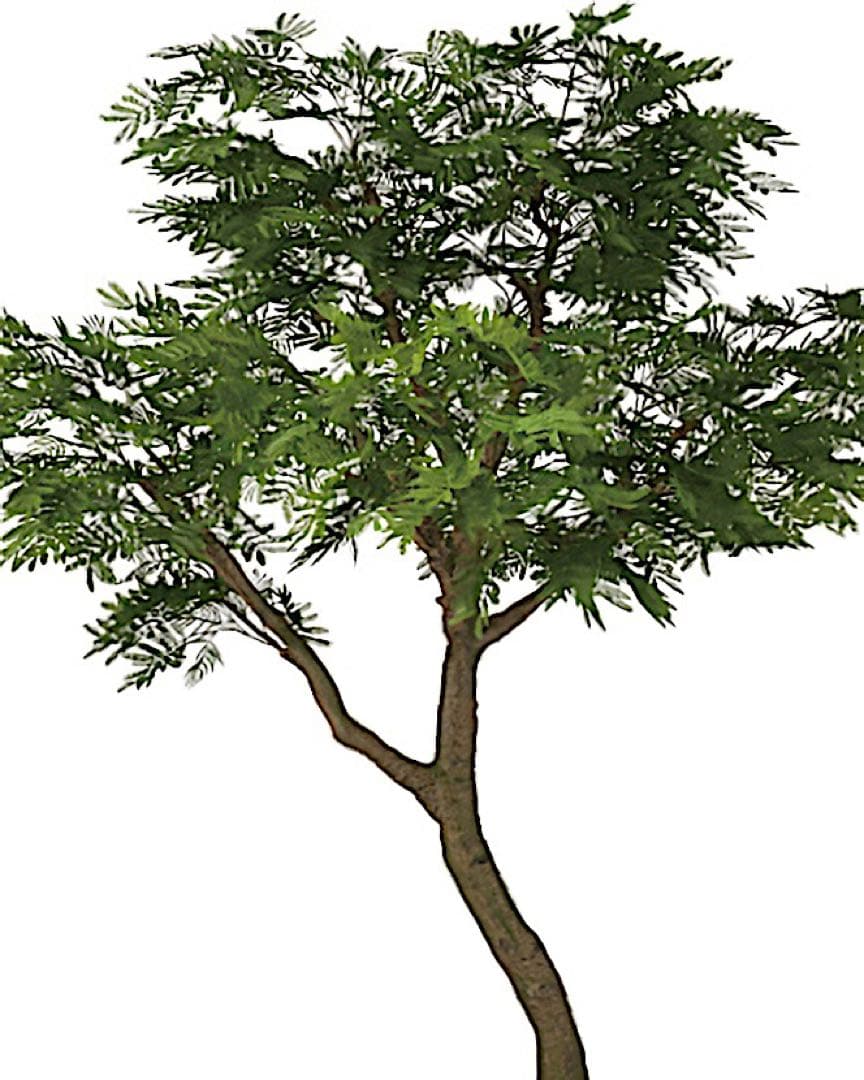 光触媒　人工観葉植物　ウォールグリーン　フェイクグリーン　エバーフレッシュ鉢