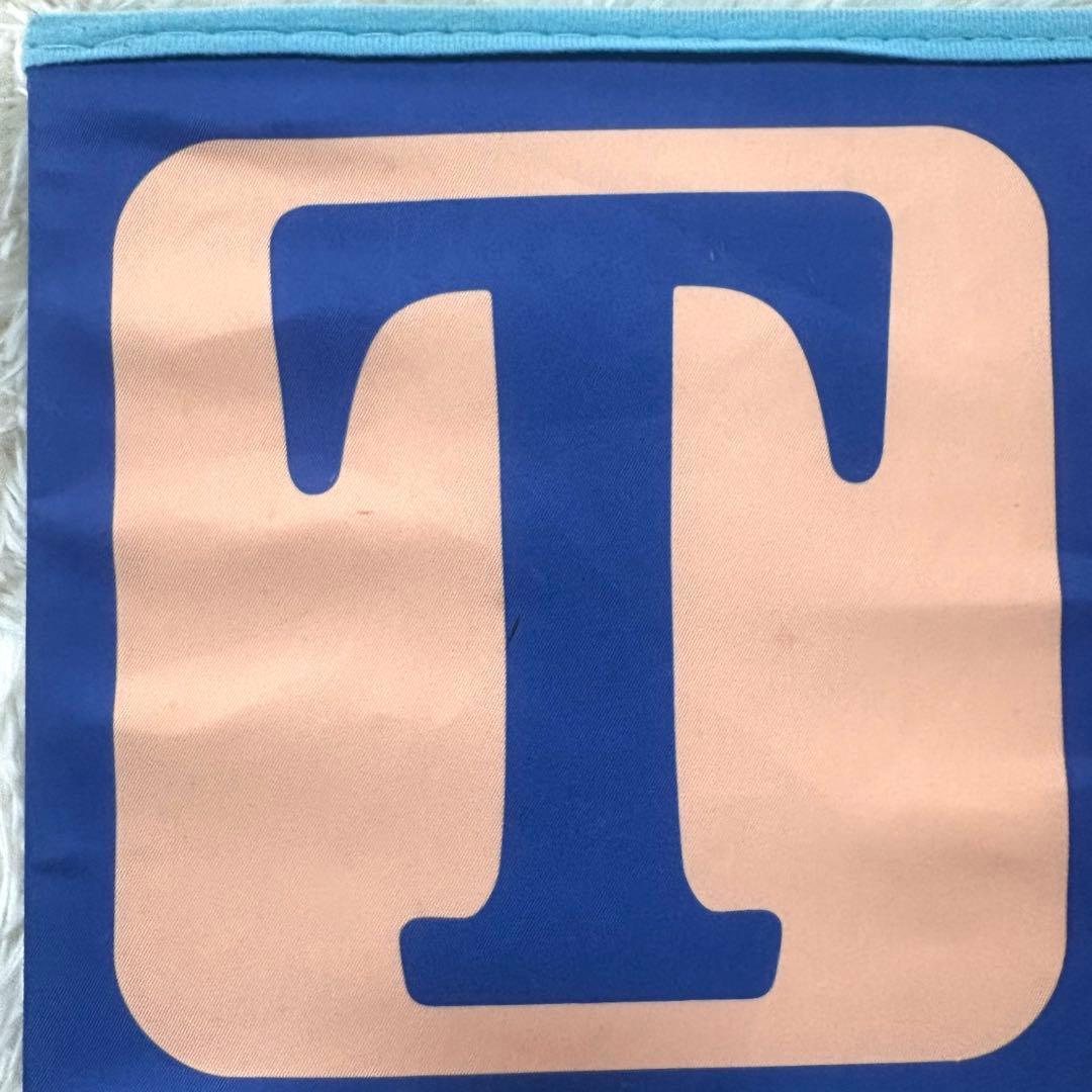 ディズニーリゾート　トイストーリー おもちゃ箱 収納ボックス　収納スツール