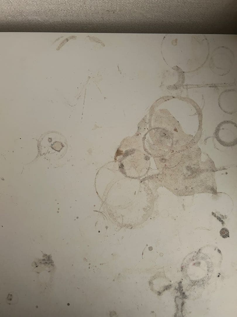 タンス チェスト ホワイト HAGIHARA