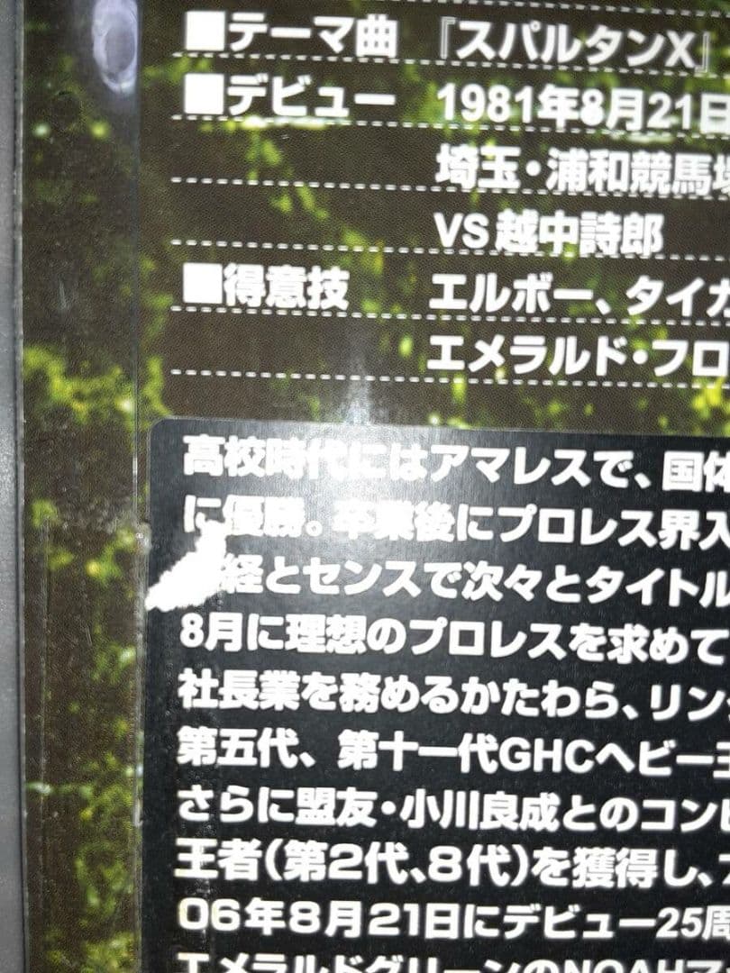 三沢　ソフビ　HAO フィギュア　プロレス