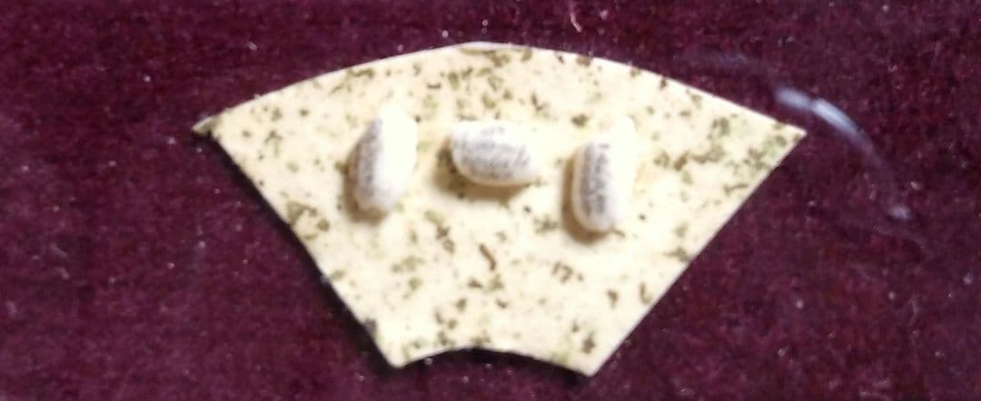 米3粒に徳川家康遺訓全文が書いてある芸術作品⭕非常に希少