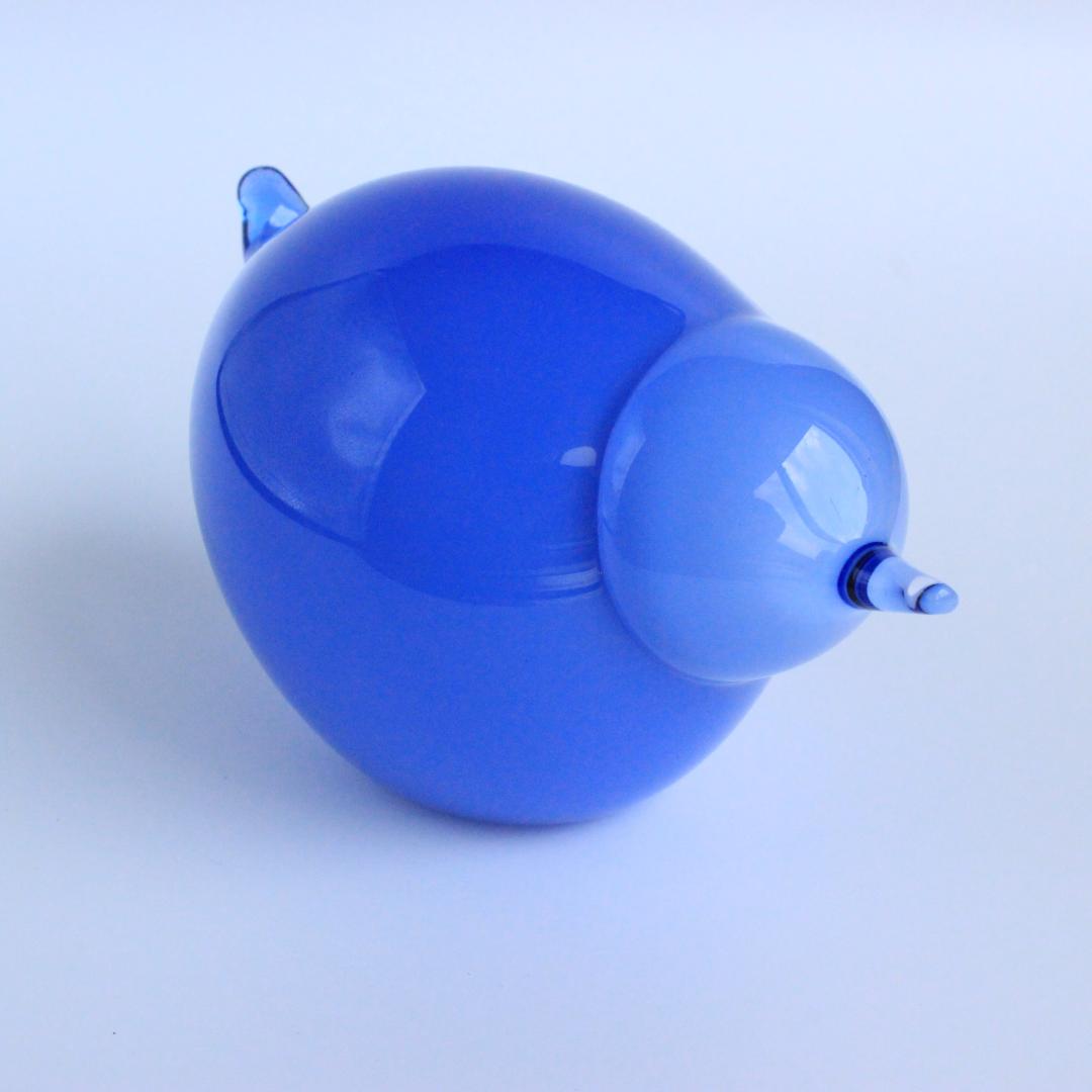 イッタラ/ヌータヤルヴ バード 2008 Suvisrri/Blue Stint