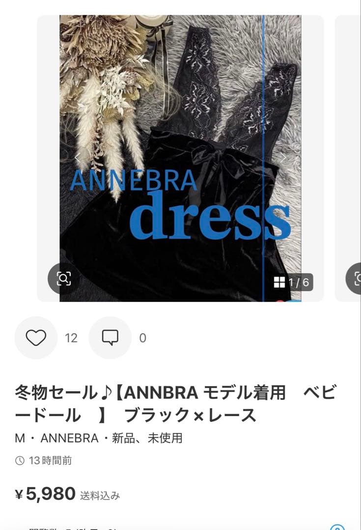 仮専用【モデル掲載 ④点ベロア×上品レース】75E annebra アンブラ