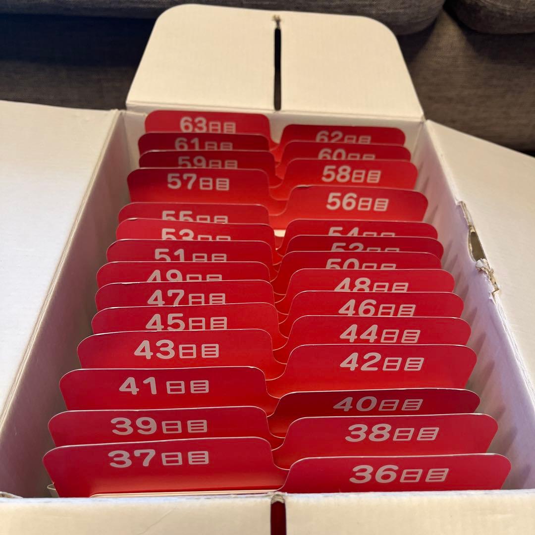 しちだ式 ドッツセット フラッシュカード ドッツカード 63日分 七田式