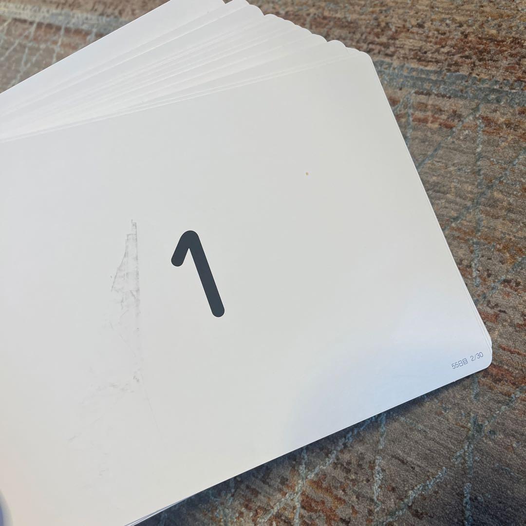 しちだ式 ドッツセット フラッシュカード ドッツカード 63日分 七田式