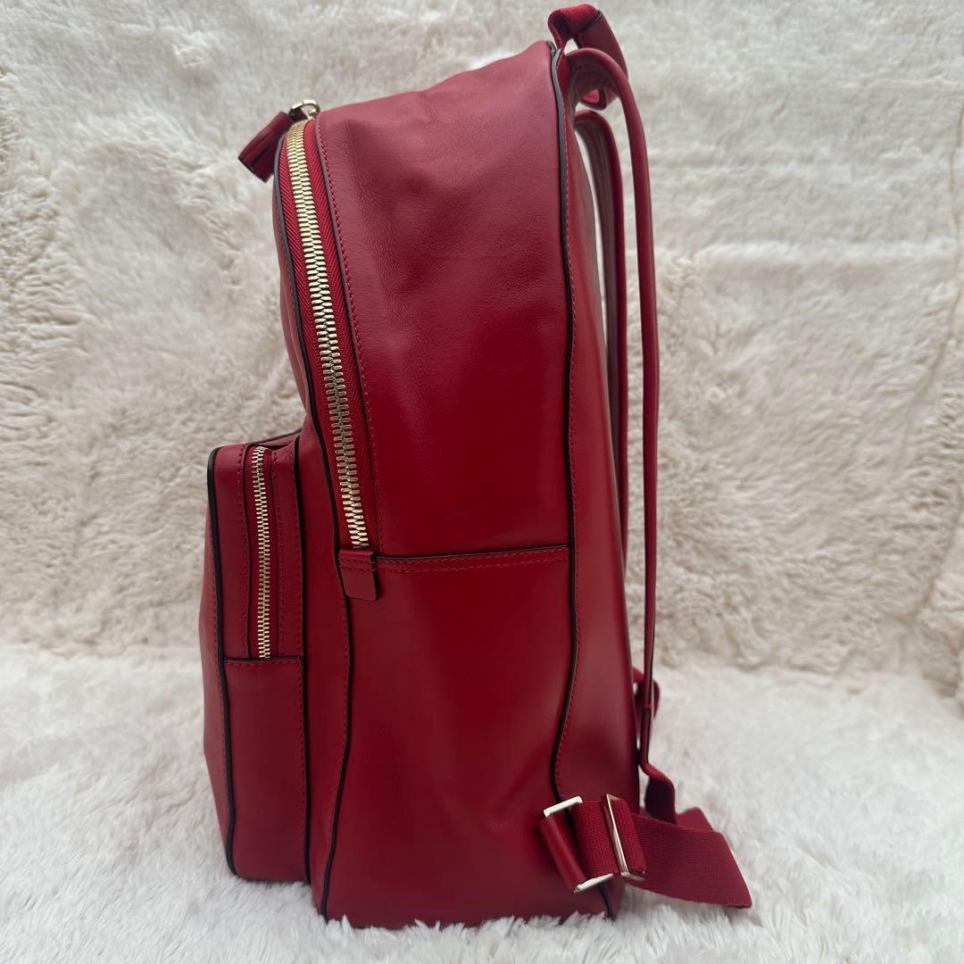 ✨極美品✨アニヤハイドマーチ　リュック　スマイリー　パンチング　カーフレザー　赤