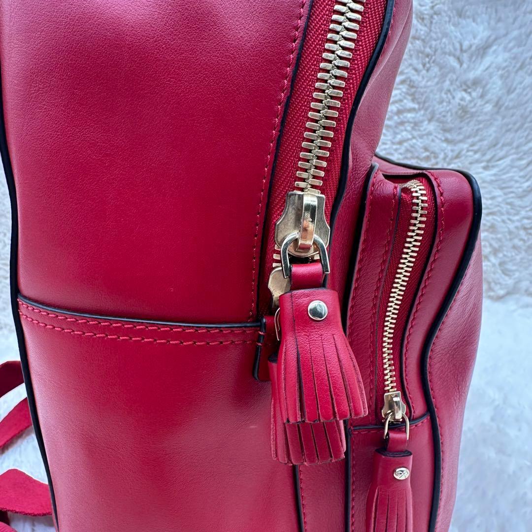 ✨極美品✨アニヤハイドマーチ　リュック　スマイリー　パンチング　カーフレザー　赤