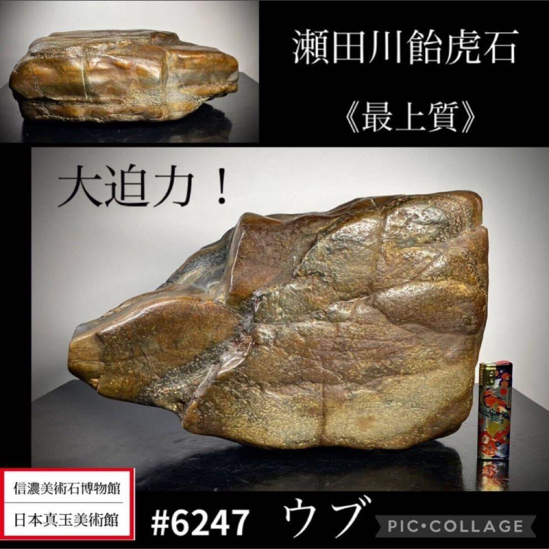 6247 瀬田川飴虎石 ウブ 横38×奥行12(cm) 17.85kg水石 骨董