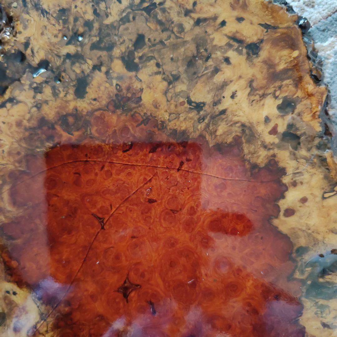 【特上】希少　オンコ　赤褐色　瘤 コブ 瘤杢 　天然木 花台　リバーシブル