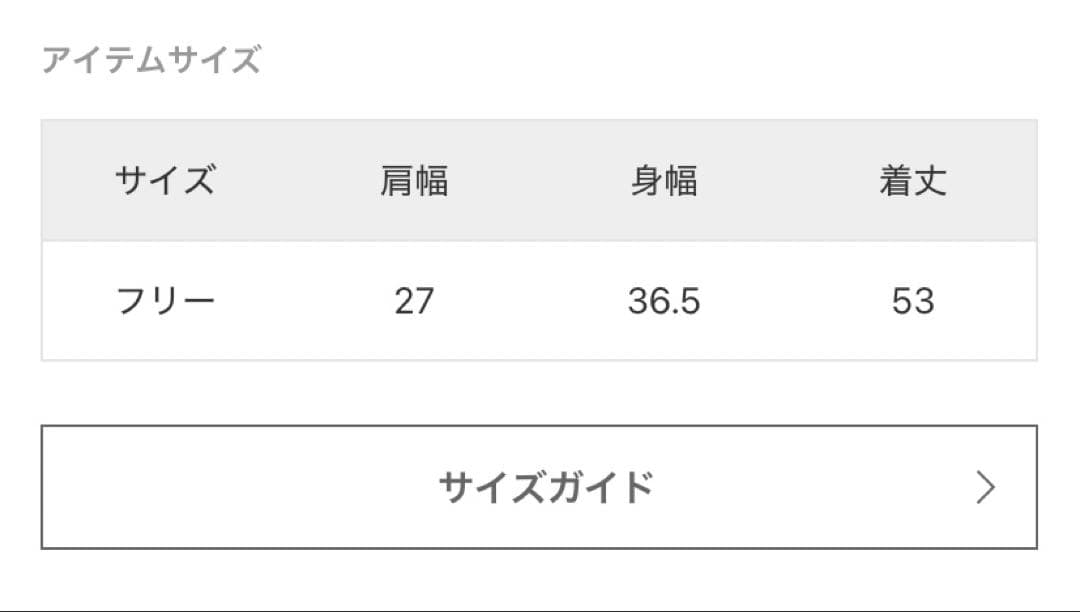 FRAMeWORK SPEEDO/スピード SEE THROUGH TOP