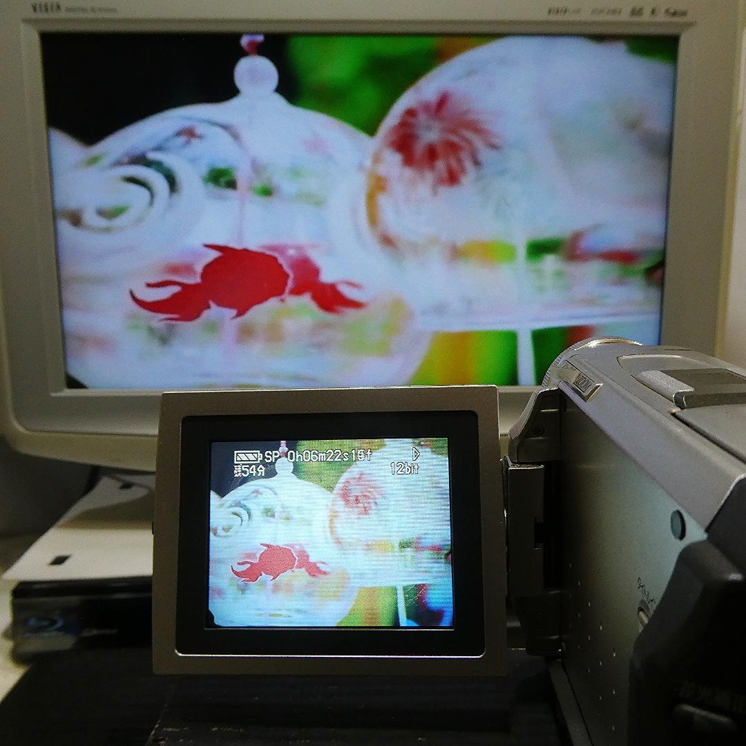 動作良好 パナソニック NV-DS1 MiniDVビデオカメラ ダビングに最適