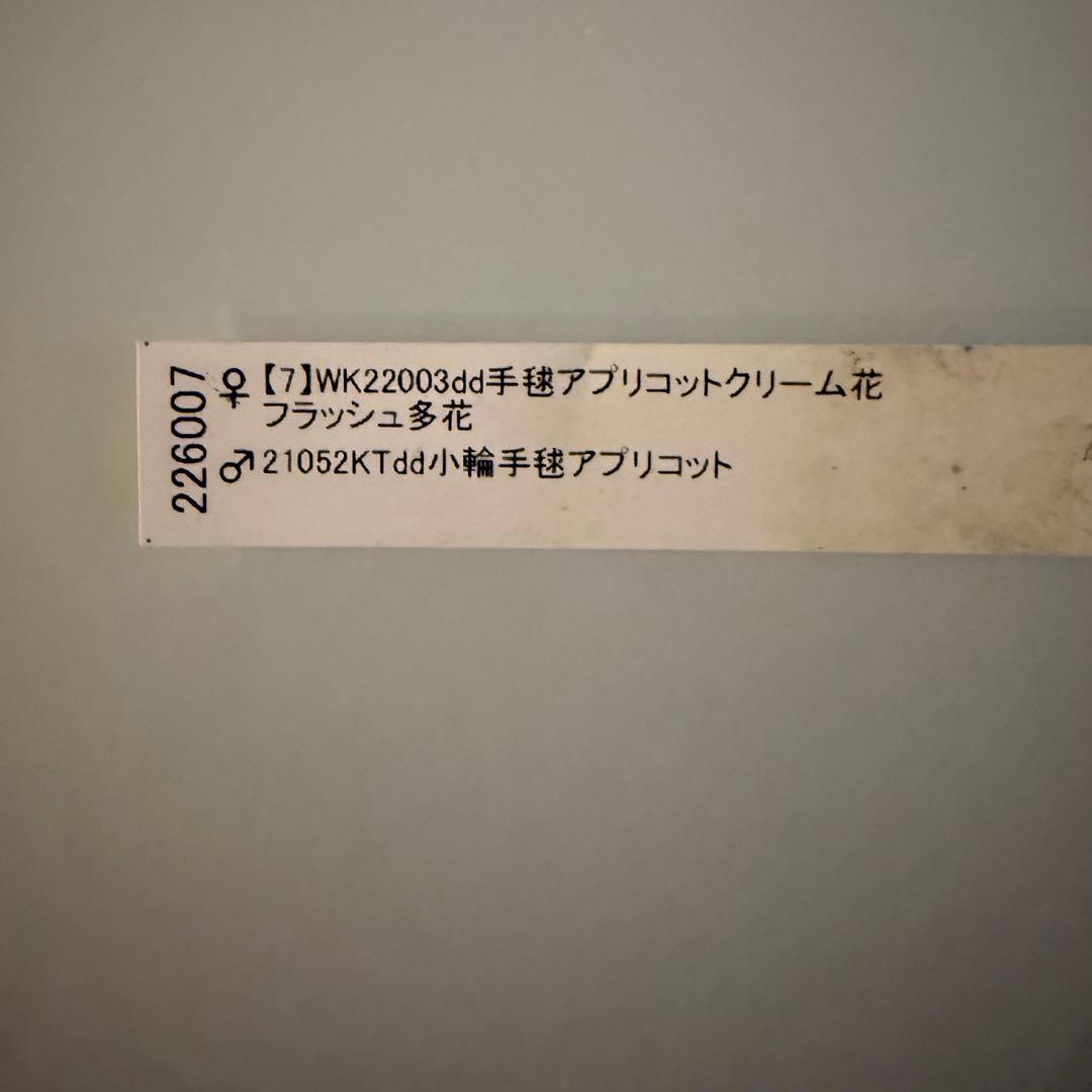 ま*こ様 クリスマスローズ 『小輪 手毬交配 ddアプリコットクリーム』