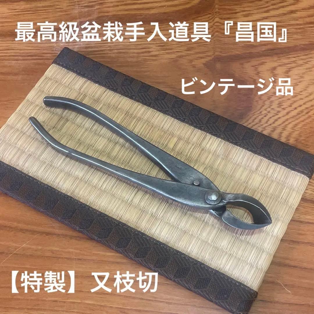 最高級 盆栽用具 昌国【特製】又切り鋏(約)214㎜ 240g