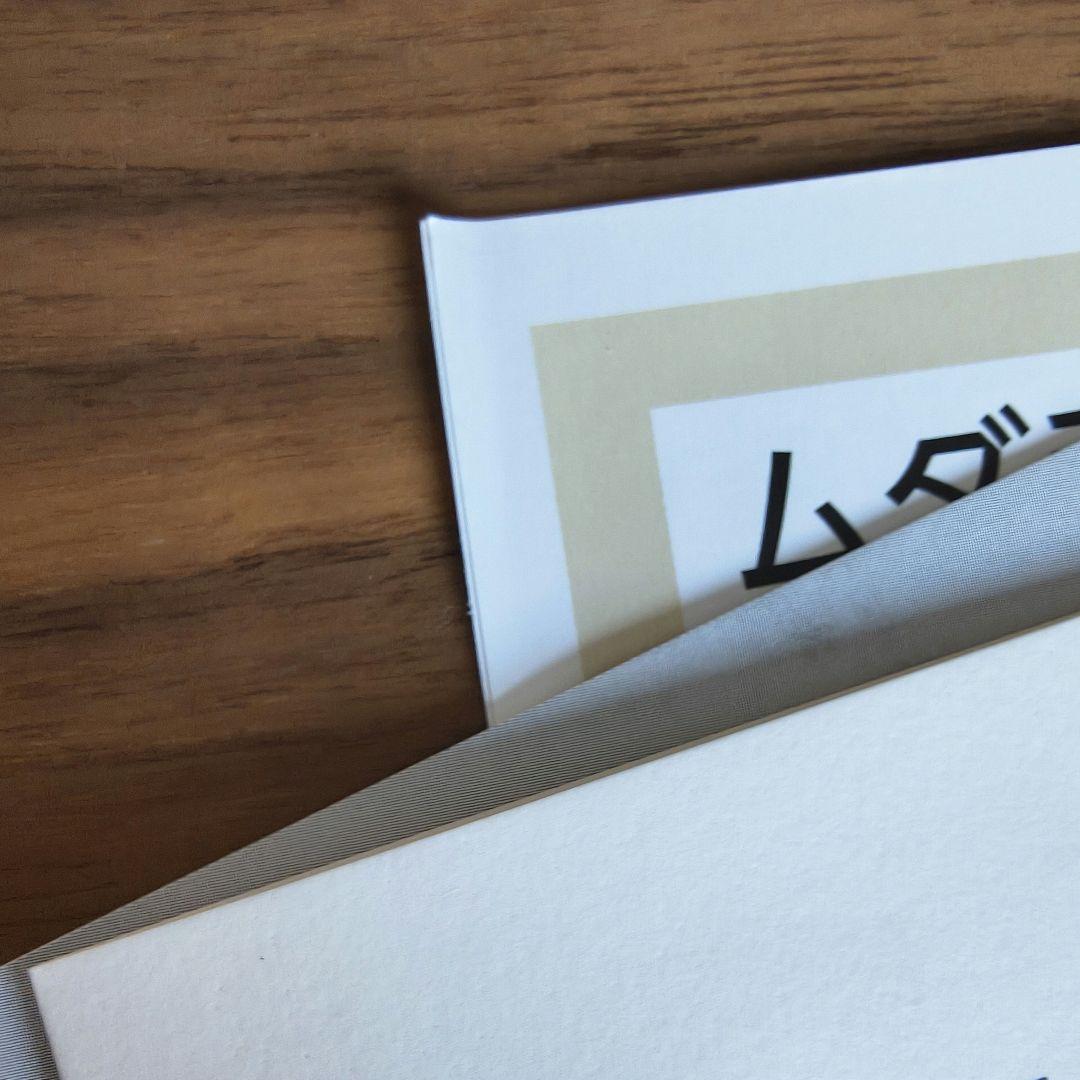 LEDitch レディッチ【取扱説明書あり】