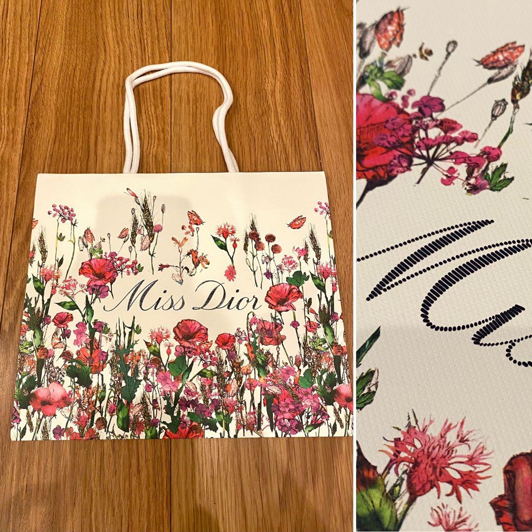 確認用 Dior ディオール ショッパー専用 ビニールバッグキット