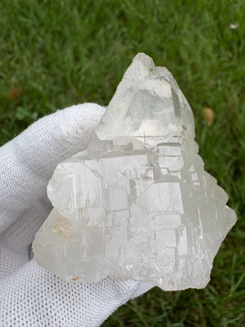 【匿名発送】パキスタン産グインデル